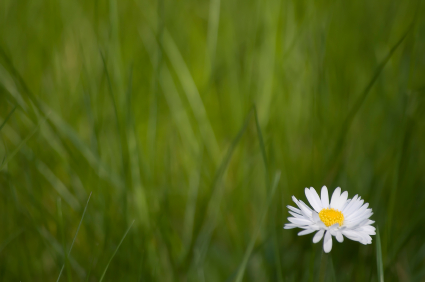 iStock_000003415138XSmall
